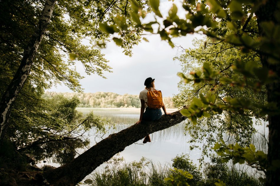 Person sitter på stor gren på träd vid sjö